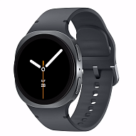 Часы Samsung Galaxy Watch 8 40mm Graphite 500_191_492267